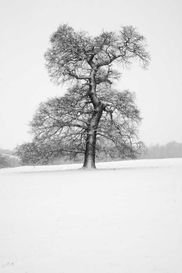 Broughton, Oxfordshire 